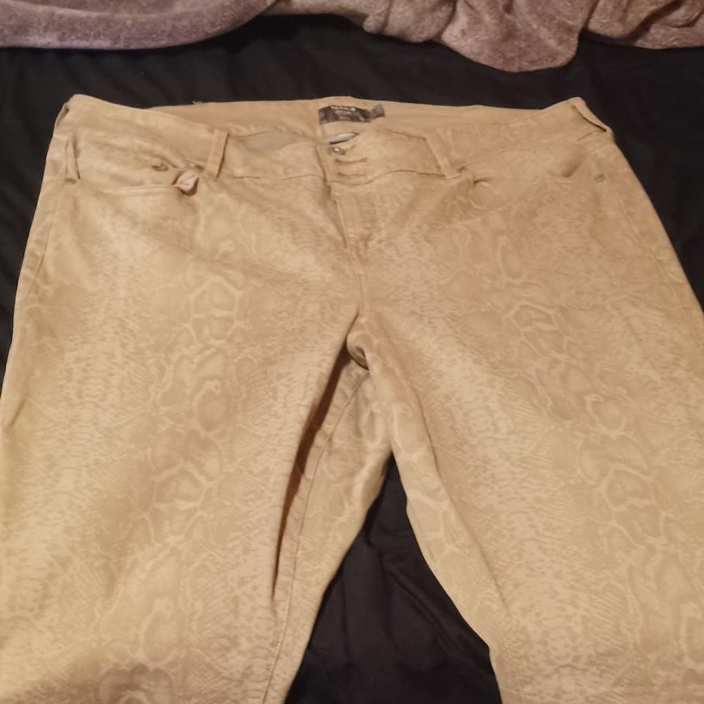 Torrid Jeggings